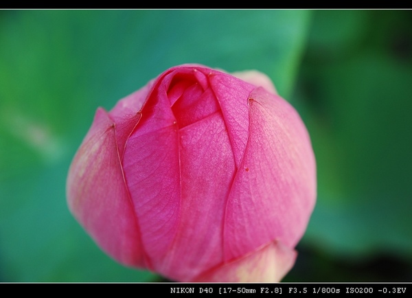 DSC_0129.jpg DSC_0129.jpg