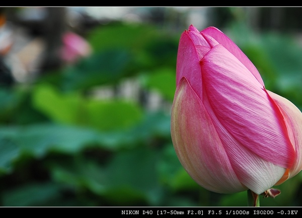 DSC_0148.jpg DSC_0148.jpg