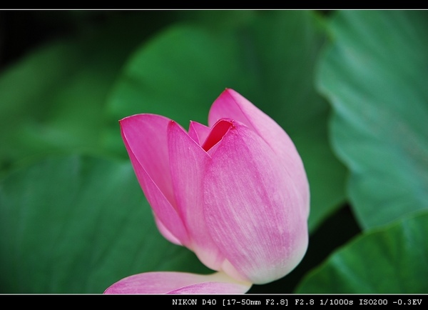 DSC_0158.jpg DSC_0158.jpg