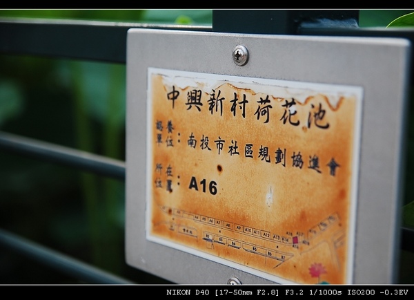 DSC_0161.jpg DSC_0161.jpg