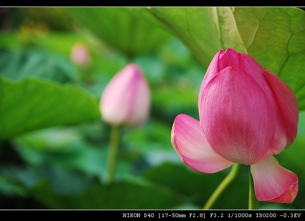 DSC_0162.jpg DSC_0162.jpg