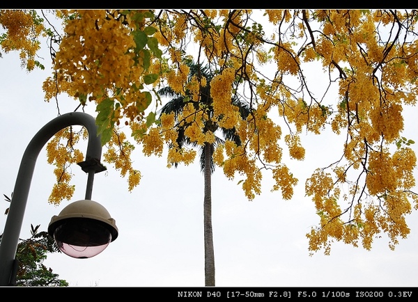 DSC_0011.jpg DSC_0011.jpg