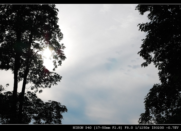 DSC_0013.jpg DSC_0013.jpg