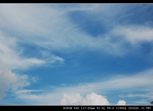 DSC_0022.jpg DSC_0022.jpg