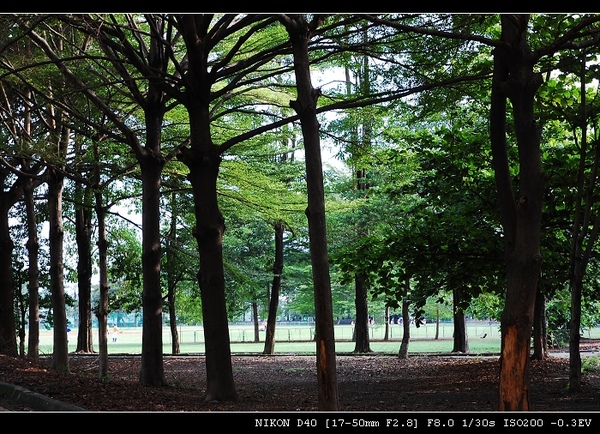 DSC_0047.jpg DSC_0047.jpg
