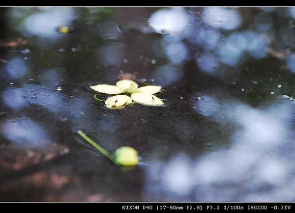 DSC_0061.jpg DSC_0061.jpg