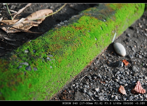 DSC_0080.jpg DSC_0080.jpg