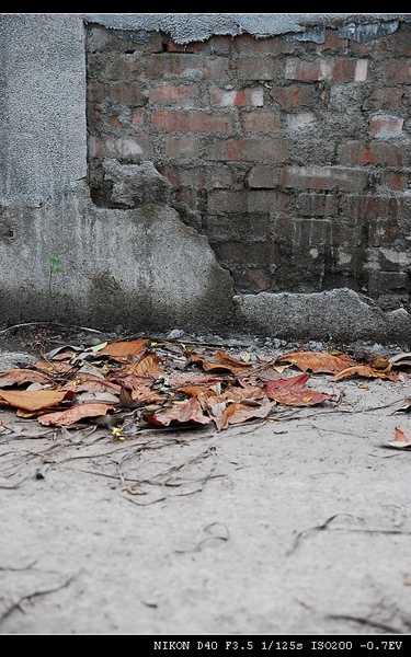 DSC_0088.jpg DSC_0088.jpg