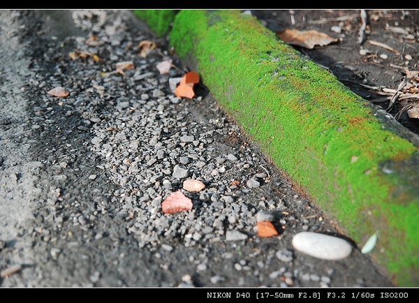 DSC_0100.jpg DSC_0100.jpg