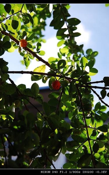 DSC_0001.jpg DSC_0001.jpg