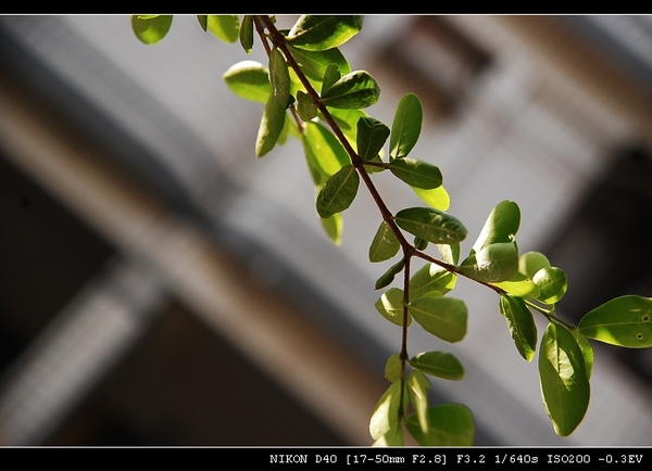 DSC_0008.jpg DSC_0008.jpg