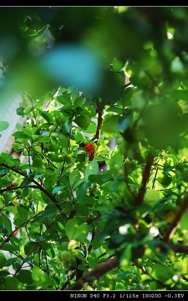 DSC_0010.jpg DSC_0010.jpg