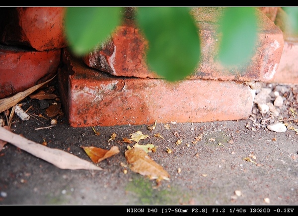 DSC_0020.jpg DSC_0020.jpg