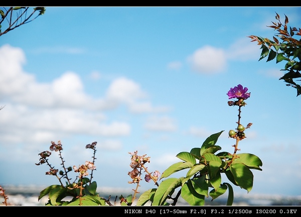 DSC_0053.jpg DSC_0053.jpg