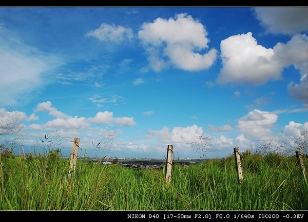 DSC_0073.jpg DSC_0073.jpg