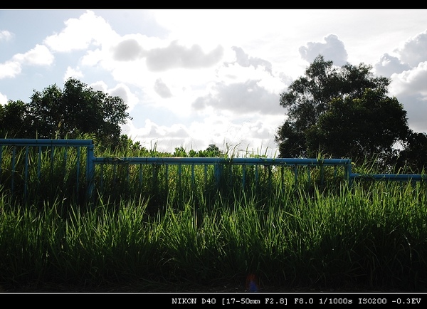 DSC_0077.jpg DSC_0077.jpg