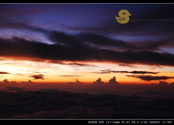 飛機上的夕陽