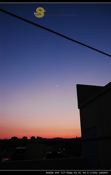 DSC_0008.jpg DSC_0008.jpg
