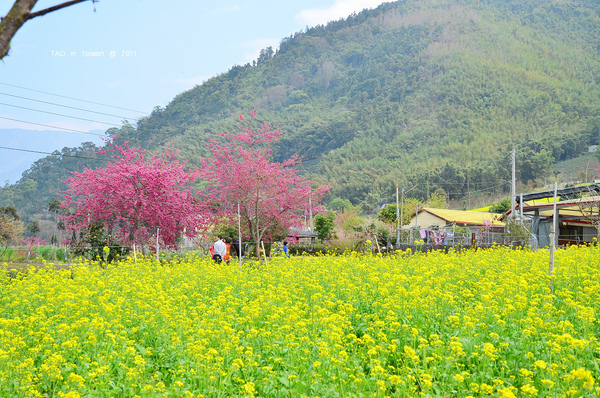 草坪頭.bmp 草坪頭.bmp
