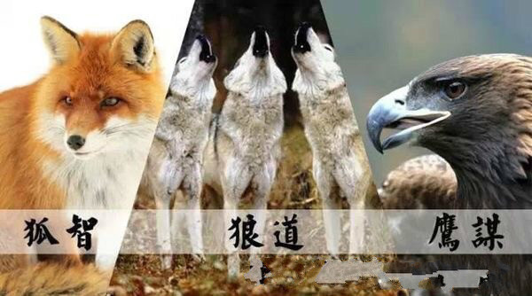 狼的團隊 狐的智慧 鷹的心態 狼狐企業總部 部落格 痞客邦