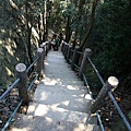 象棋峰登山道.JPG