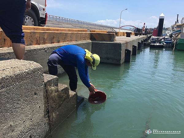 2020.07.21 桃園放流四絲馬鮁魚苗活動2.jpg