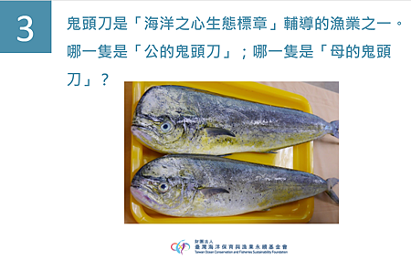 【推廣活動】2021.10.24 鱻魚遊記｜寓教魚樂登場 (8).png