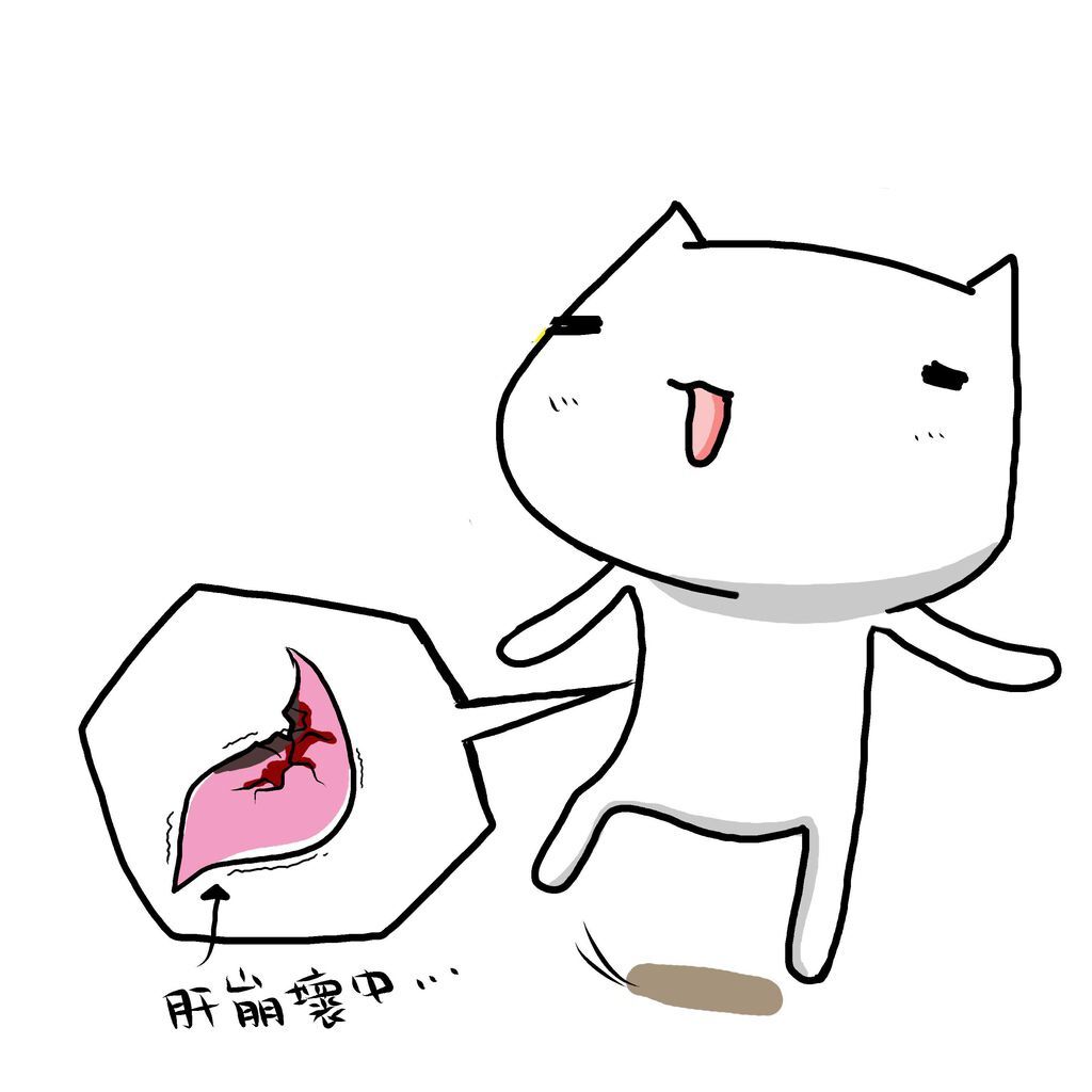 大學2.jpg 大學2.jpg