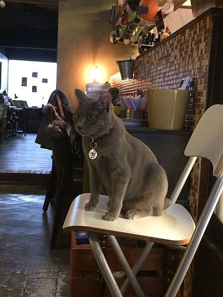 15020901_台北市_12 15020901_台北市_12