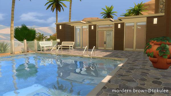 mordern brown outdoorpool1.jpg