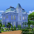 BELLFLOWER BLUE.jpg