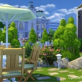 uptown gray-backyard.jpg