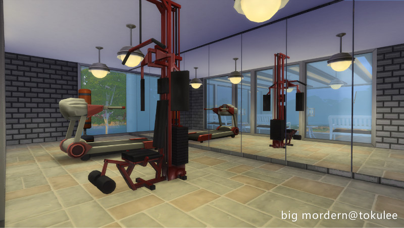 bigmordern-gym.jpg