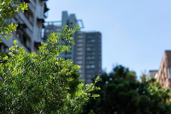 區域環境-基地旁公園 (9).jpg