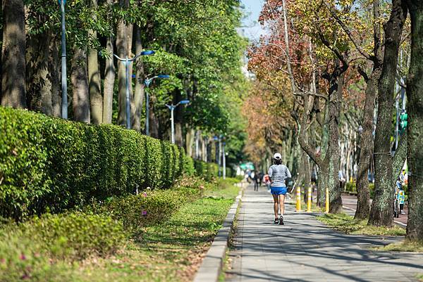 地段-大安森林公園 (33).jpg