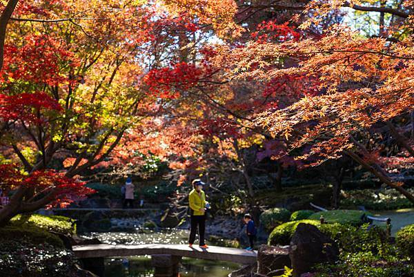 大田黒公園3.jpg