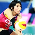 volleyballkorea_20141123185913828.jpeg