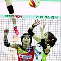 volleyballkorea_20141126190008594.jpeg