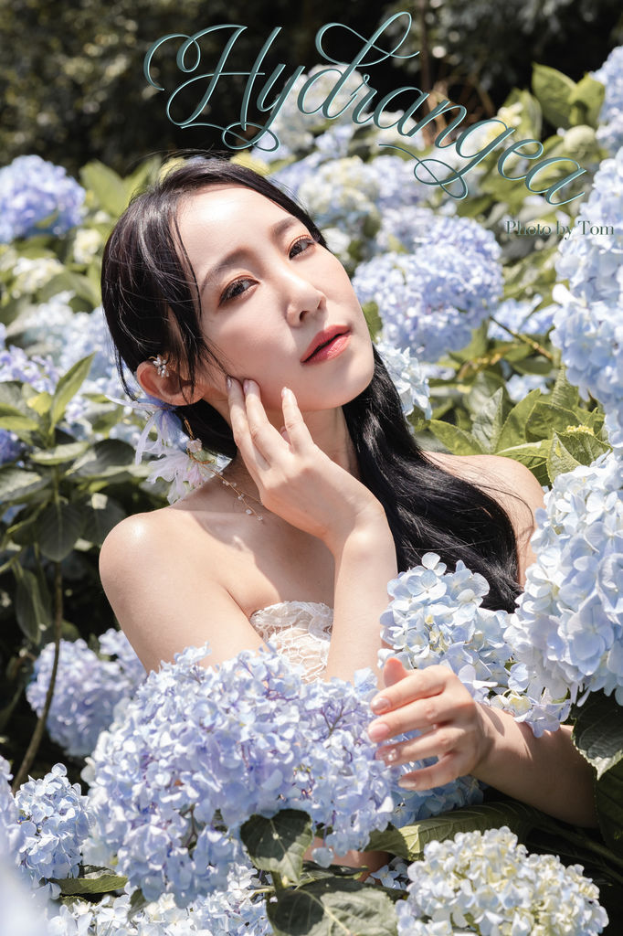 繡球花-1.jpg 繡球花-1.jpg