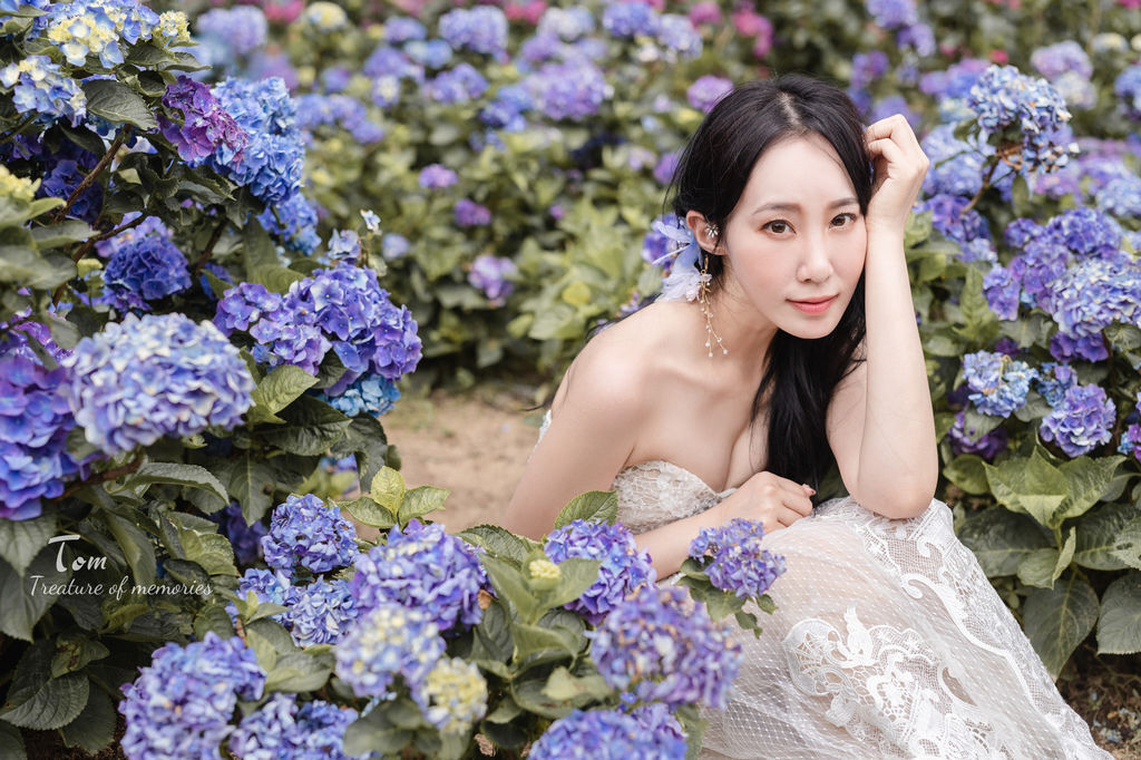 繡球花-5.jpg 繡球花-5.jpg