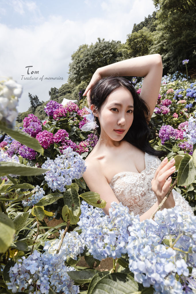 繡球花-4.jpg 繡球花-4.jpg