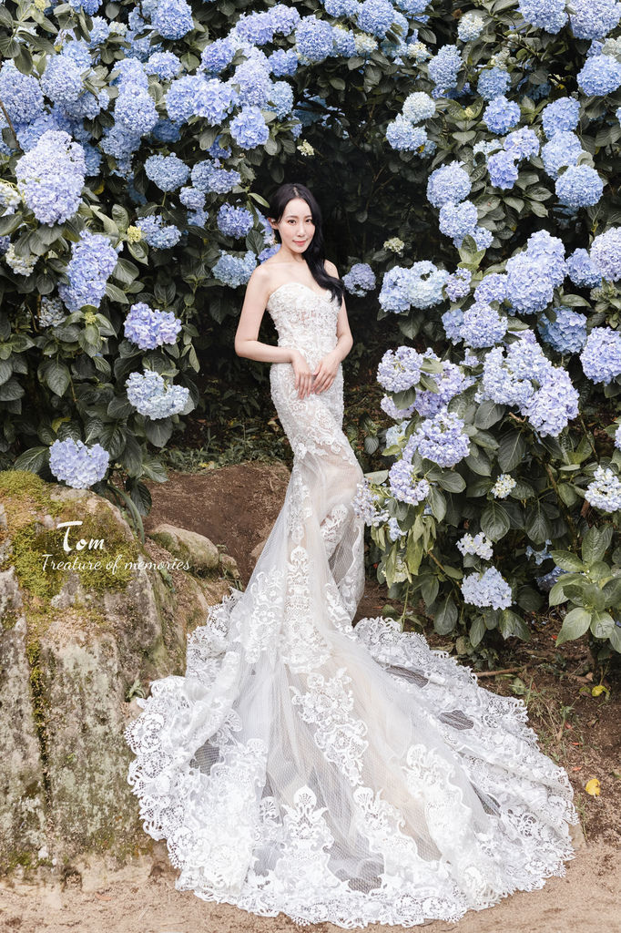 繡球花-6.jpg 繡球花-6.jpg
