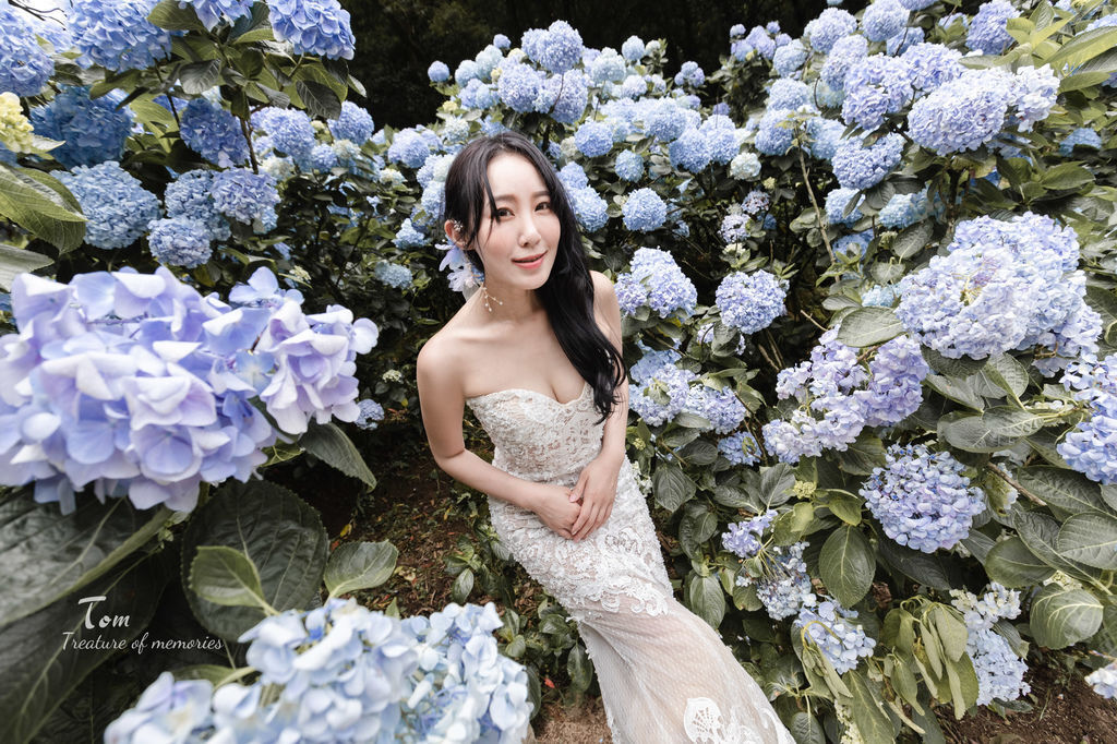 繡球花-7.jpg 繡球花-7.jpg