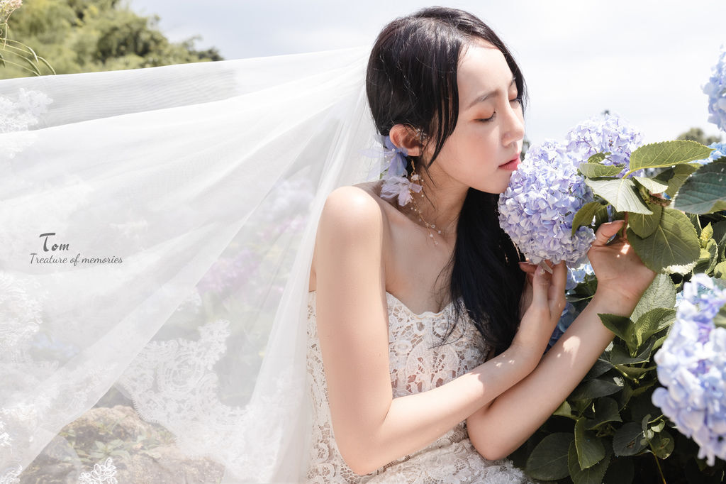 繡球花-9.jpg 繡球花-9.jpg