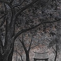 梁震明 黑葉下的台南孔廟 139.5x69.5cm 2013