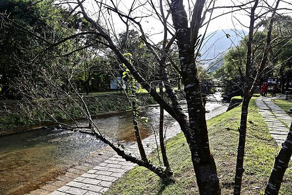 清水溪野營地