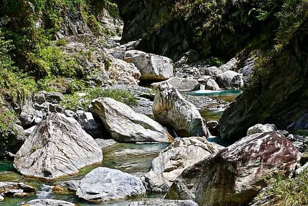 白楊步道 白楊步道