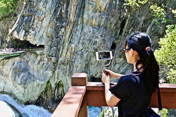白楊步道 白楊步道