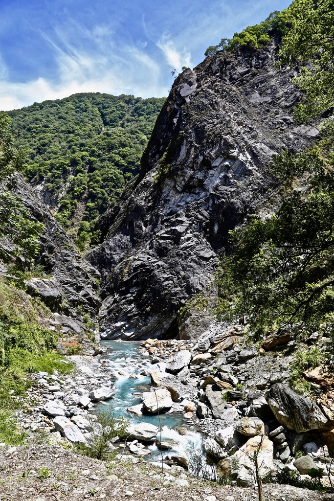 白楊步道 白楊步道