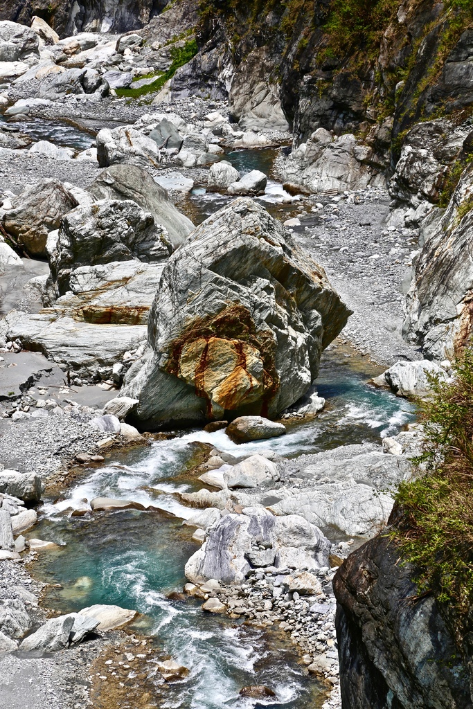 白楊步道 白楊步道